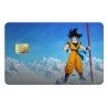 Sangoku Credit Card